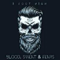 3 Foot High - Blood, Sweat & Fears (2022) MP3