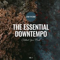 VA - The Essential Downtempo: Chillout Your Mind, Vol. 1-2 (2021-2022) MP3