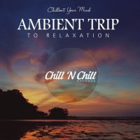 VA - Ambient Trip to Relaxation: Chillout Your Mind (2021) MP3