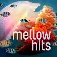 VA - Mellow Hits (2022) MP3