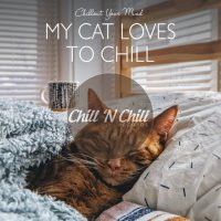 VA - My Cat Loves to Chill: Chillout Your Mind (2021) MP3