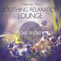 VA - Soothing Relaxation Lounge: Chillout Your Mind (2020) MP3