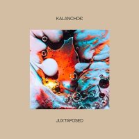 Kalanchoe - Juxtaposed (2022) MP3