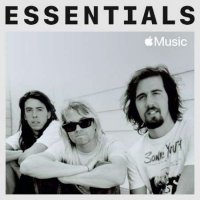 Nirvana - Essentials (2022) MP3