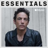 The Wallflowers - Essentials (2022) MP3