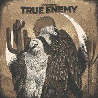 True Enemy - Vultures (2022) MP3