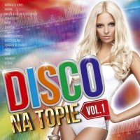 VA - Disco Na Topie vol.1 (2018) MP3
