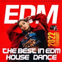 VA - The Best In EDM: Dance House Mixtape (2022) MP3