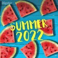 VA - Summer (2022) MP3
