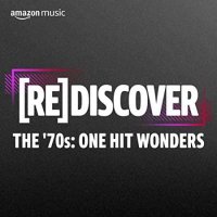VA - Rediscover The '70s: One Hit Wonders (2022) MP3