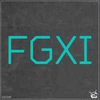 VA - FGXI [11th Years Anniversary] (2022) MP3