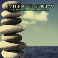 VA - In the Mood of Relax [A Journey into Lo-Fi and Ambient Beats] (2022) MP3