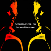 Tofustaggerbush - Nocturnal Movement (2022) MP3