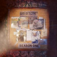 Bird Detective - Season One (2022) MP3