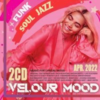VA - Velour Mood [2CD] (2022) MP3