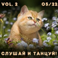Сборник - Слушай и Танцуй! vol.2 Новая танцевальная музыка с разных сайтов (2022) MP3