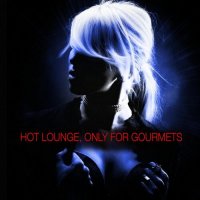 VA - Hot Lounge, Only for Gourmets, Vol.1-4 (2009-2015) MP3