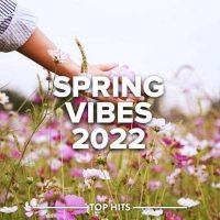 VA - Spring Vibes (2022) MP3