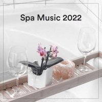 VA - Spa Music (2022) MP3