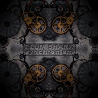 Plum Shark - Synchronism (2022) MP3