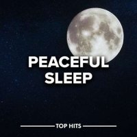 VA - Peaceful Sleep (2022) MP3