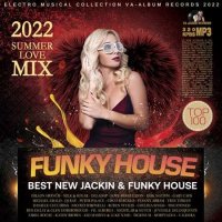VA - Funky House: Summer Love Mix (2022) MP3