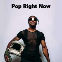 VA - Pop Right Now (2022) MP3