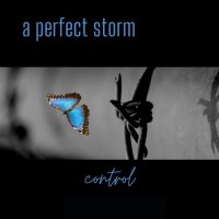 A Perfect Storm - Control (2022) MP3