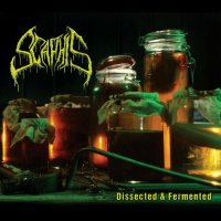 Scaphis - Dissected & Fermented (2022) MP3