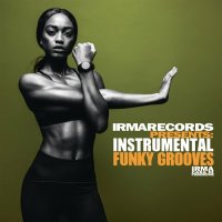 VA - Instrumental Funky Grooves (2022) MP3
