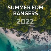VA - Summer EDM Bangers (2022) MP3