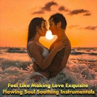 VA - Feel Like Making Love: Exquisite Flowing Soul Soothing Instrumentals (2022) MP3