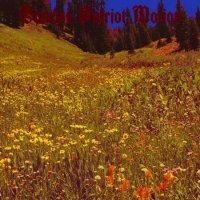Sunrise Patriot Motion - Black Fellflower Stream (2022) MP3