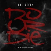 Do or Die - THE STORM (2022) MP3