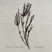 Hawktail - Place of Growth (2022) MP3