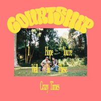 Courtship. - I hope you're well in these crazy times (2022) MP3