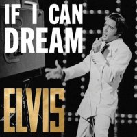 Elvis Presley - If I Can Dream: The Very Best of Elvis (2022) MP3