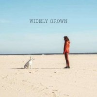 Widely Grown - Widely Grown (2022) MP3