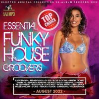 VA - Essential Funky House Groovers (2022) MP3