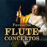 VA - Favourite Flute Concertos (2022) MP3