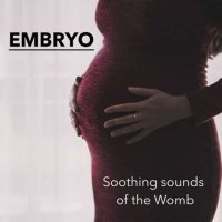 Embryo - Soothing sounds of the womb (2022) MP3