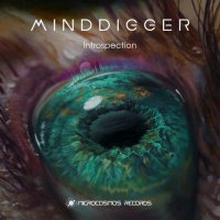 Minddigger - Introspection (2022) MP3