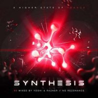 VA - Synthesis Vol.2 (2022) MP3