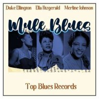 VA - Mule Blues [Top Blues Records] (2022) MP3