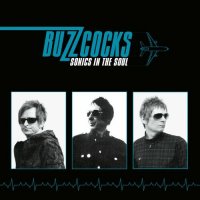 Buzzcocks - Sonics In The Soul (2022) MP3