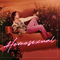 Darren Hayes - Homosexual (2022) MP3