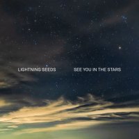 The Lightning Seeds - See You in the Stars (2022) MP3