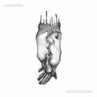 Cardinal Black - January Came Close (2022) MP3