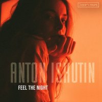 Anton Ishutin - Feel The Night (2022) MP3