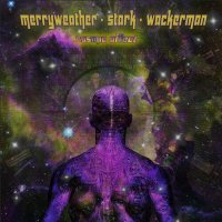 Merryweather Stark Wackerman - Cosmic Affect (2022) MP3
